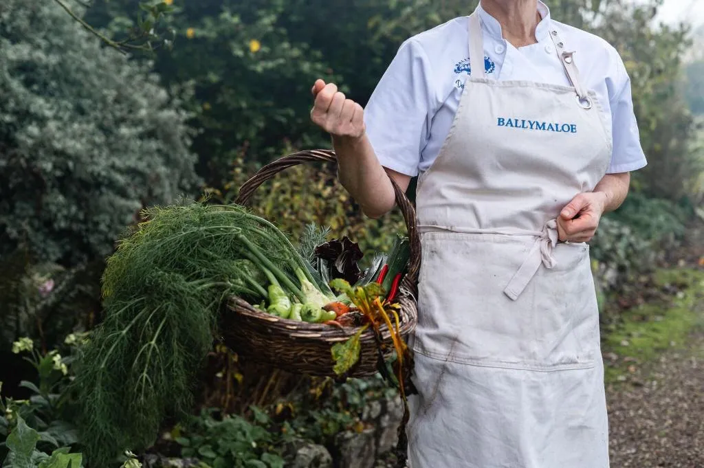 Restaurant, Ballymaloe House, Cork