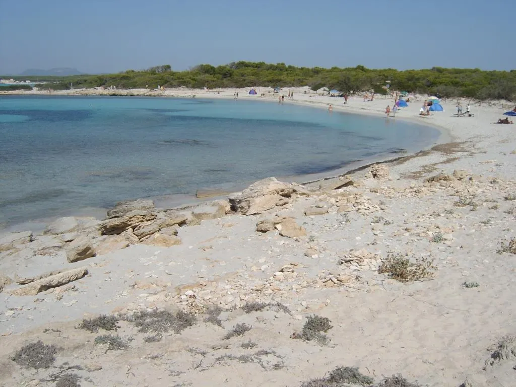 Beach, Aparthotel Isla de Cabrera, Majorca