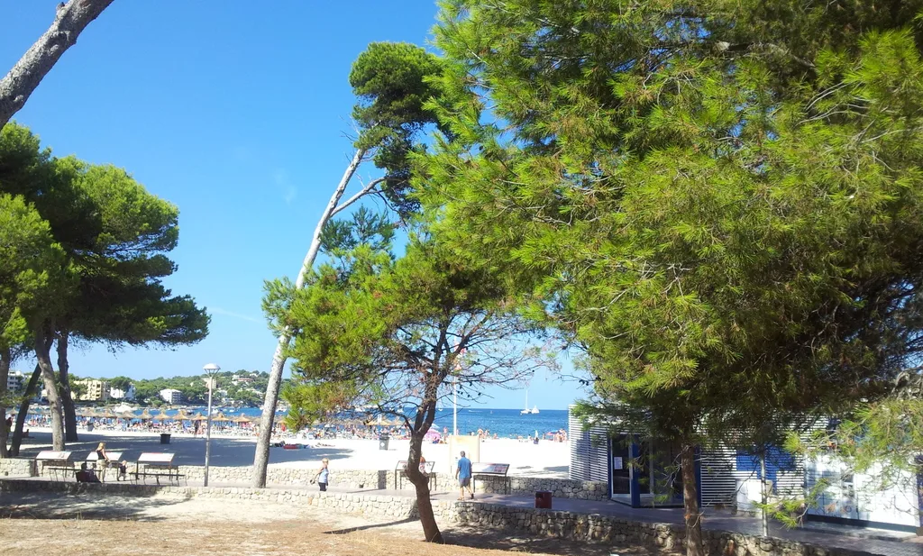 Beach, Hotel y Apartamentos Casablanca, Majorca