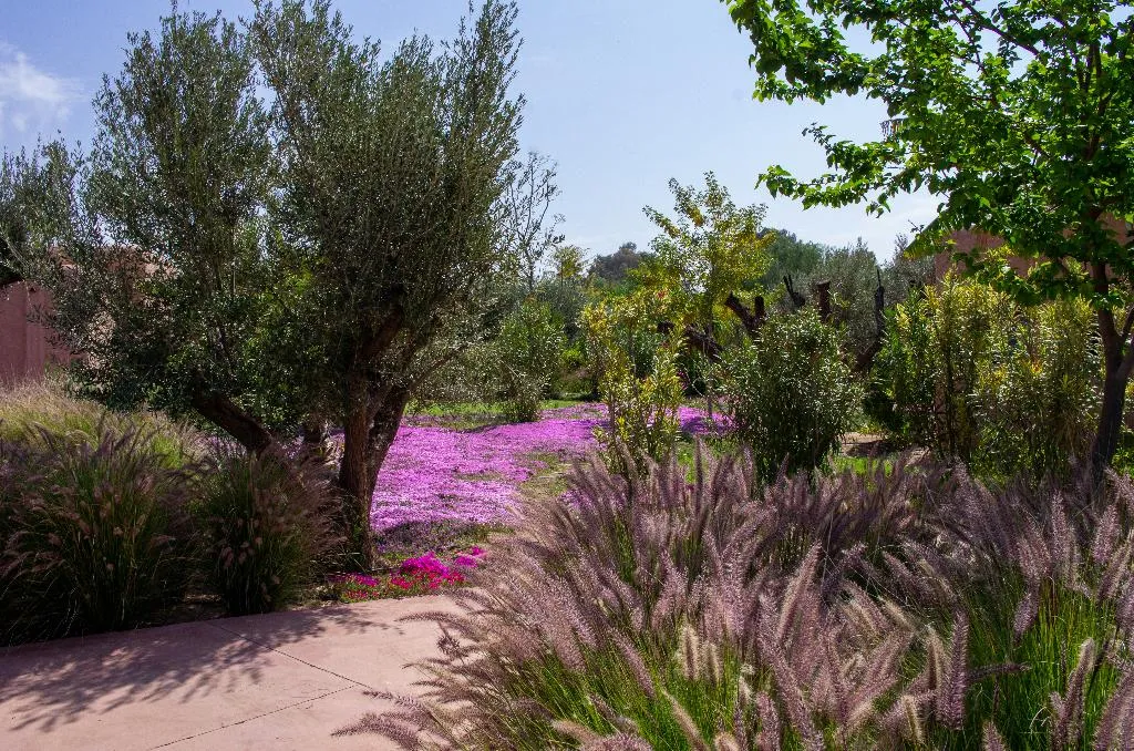 General view, Oasis Lodges, Marrakech