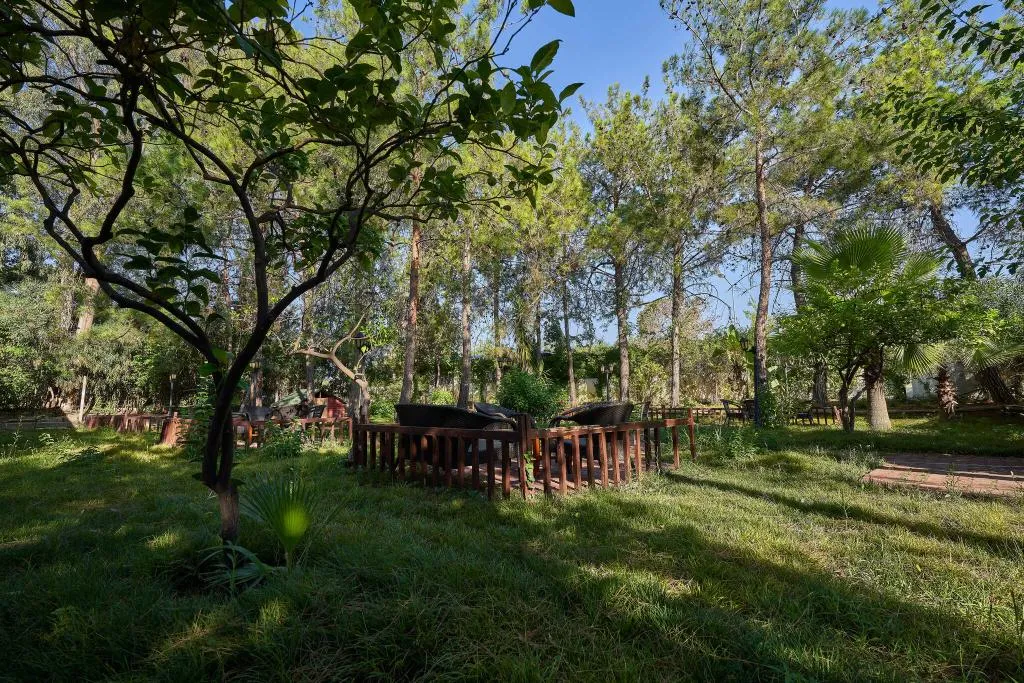 Bar, Golf Hotel Side, Antalya