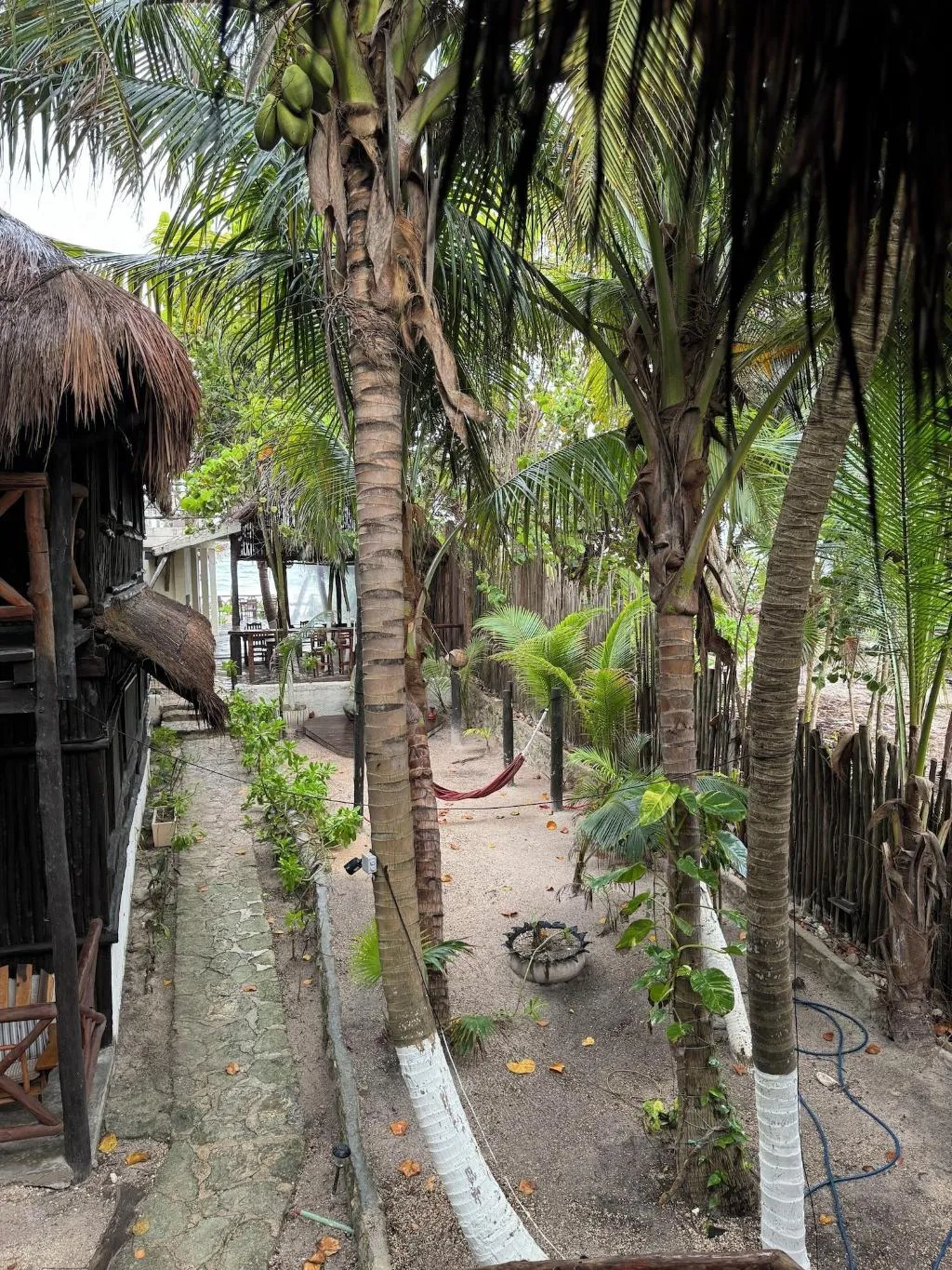 General view, Sivana Tulum, Cancun Area