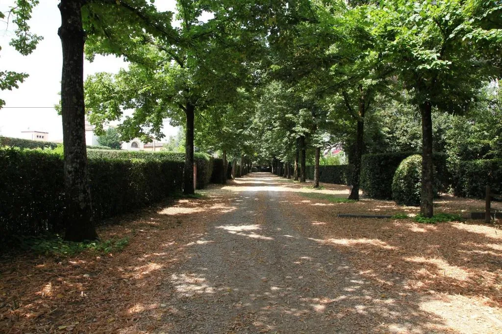 General view, B&B Rovezzano, Florence