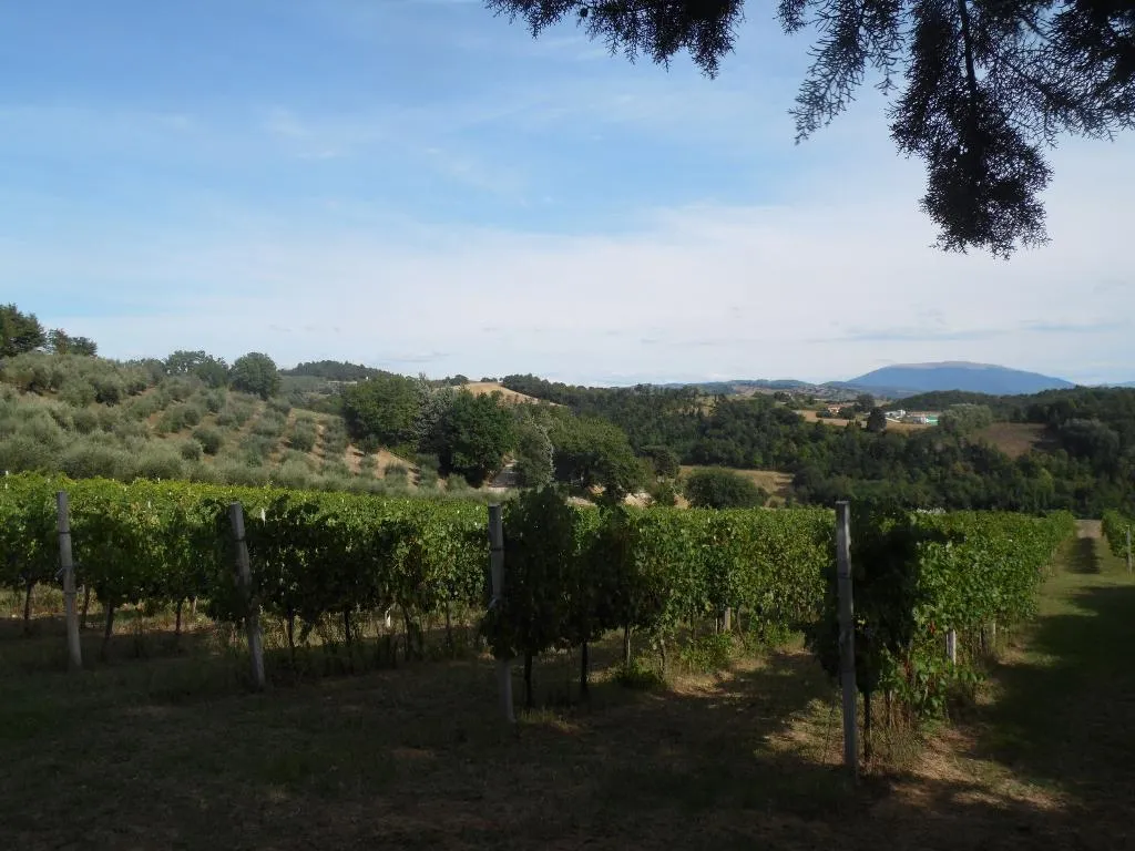 General view, Podere Caldaruccio La Pineta, Perugia