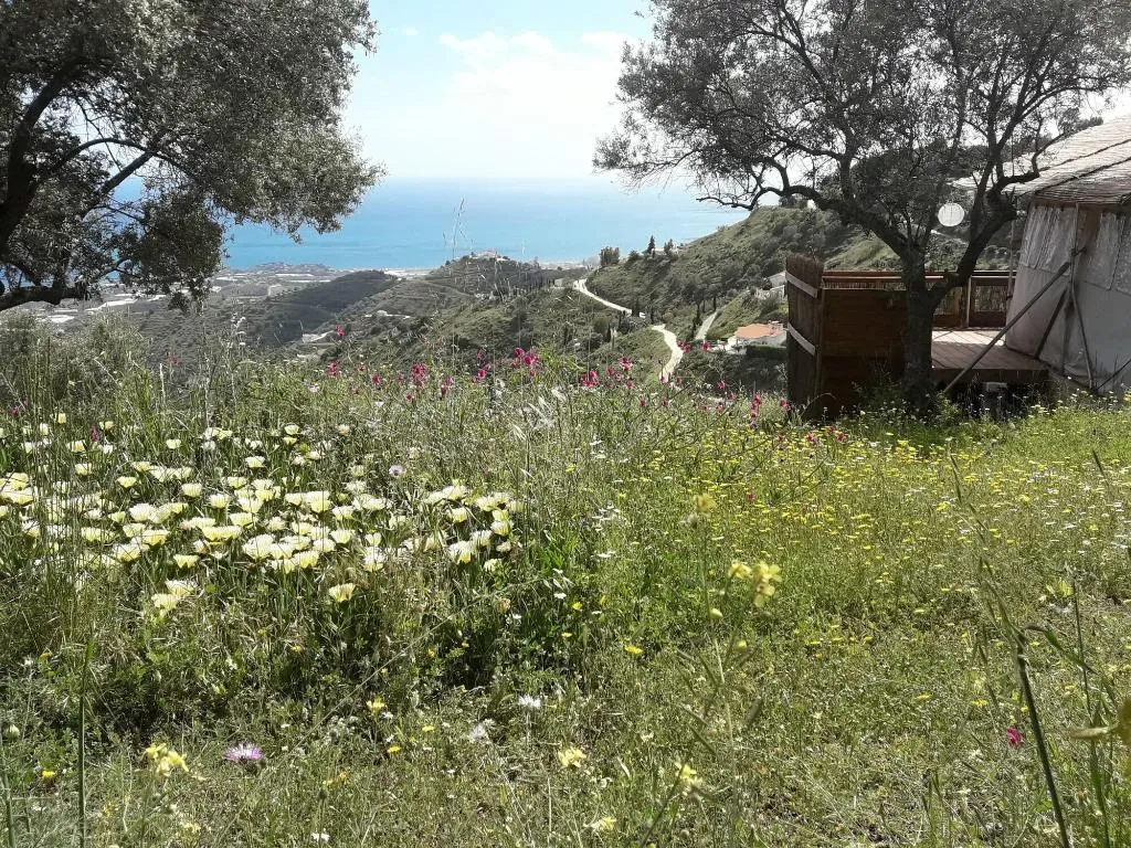 Room, Campo Agave - Boutique B&B en Glamping, Costa Del Sol