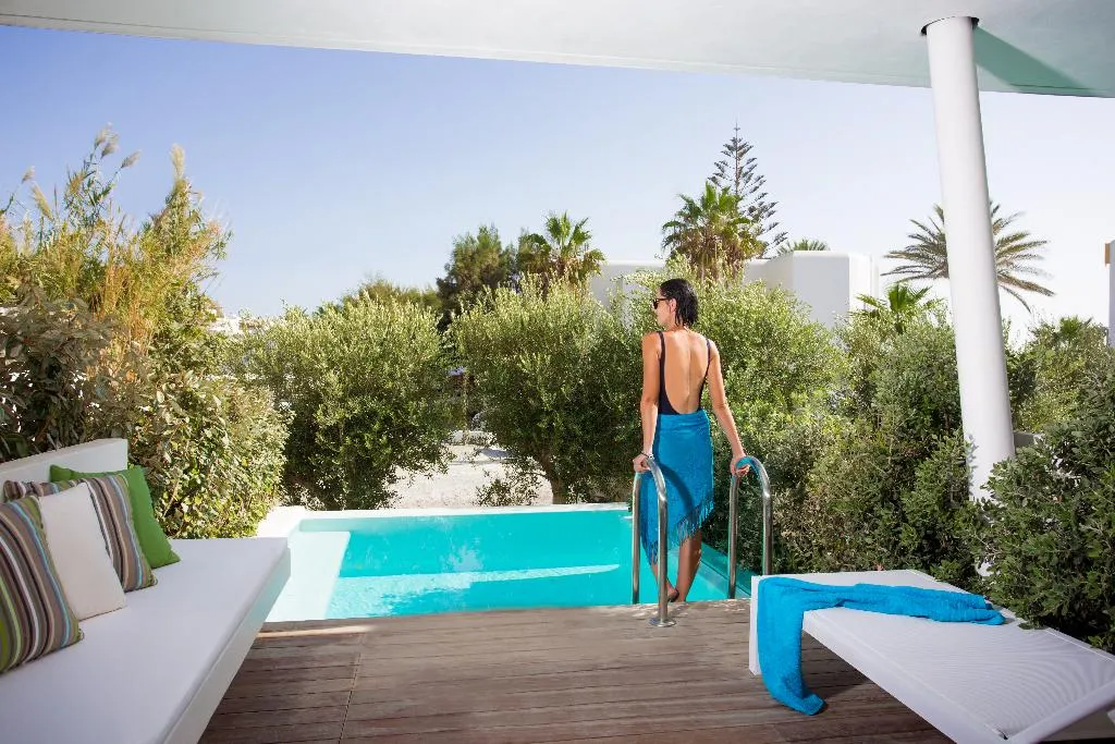 SUITE WITH PRIVATE POOL Room, Mykonos Dove beach hotel, Mykonos