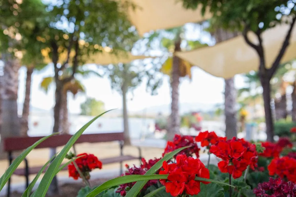 Terrace, Cortijo del Arte, Costa Del Sol