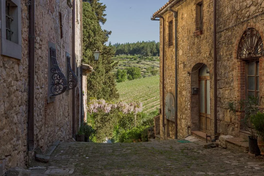 General view, Castello di Fonterutoli, Florence