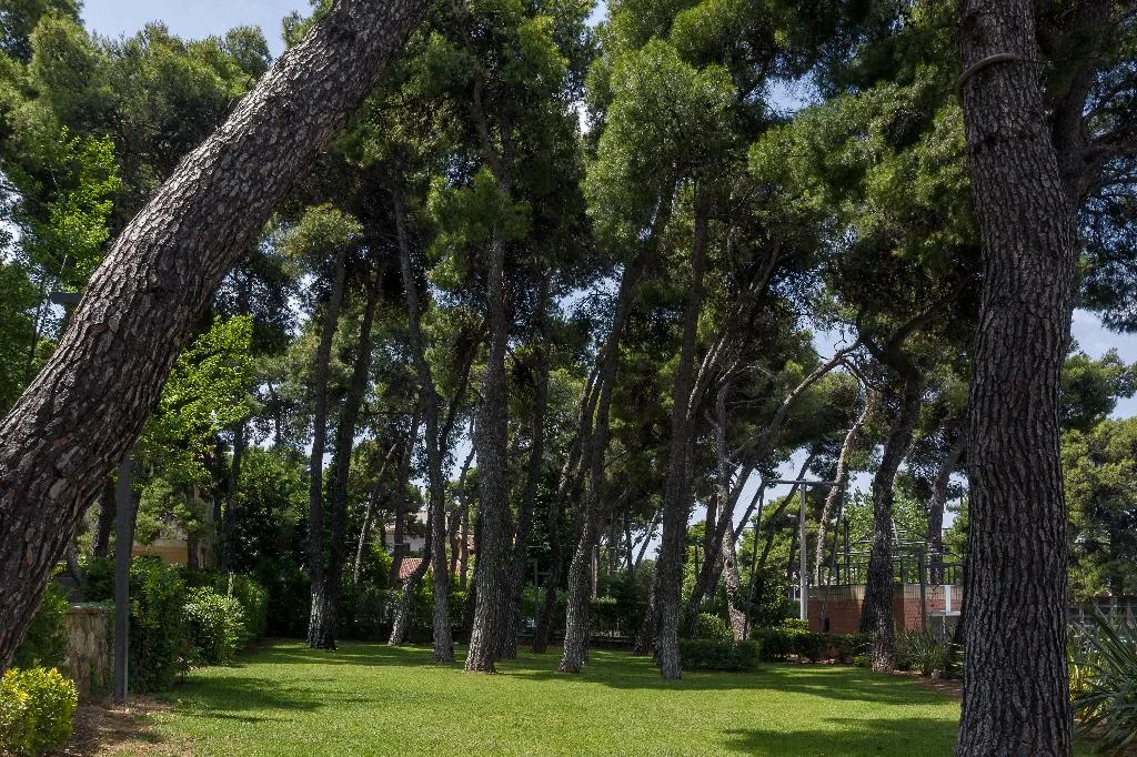 General view, Domotel Kastri, Athens