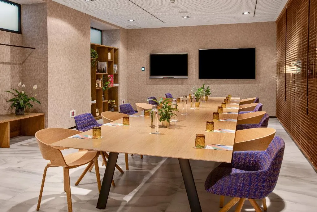 Conferences, Melia Madrid Serrano, Madrid