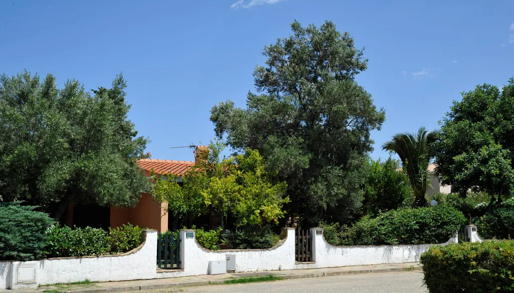 General view, Villette Il Melograno, Olbia