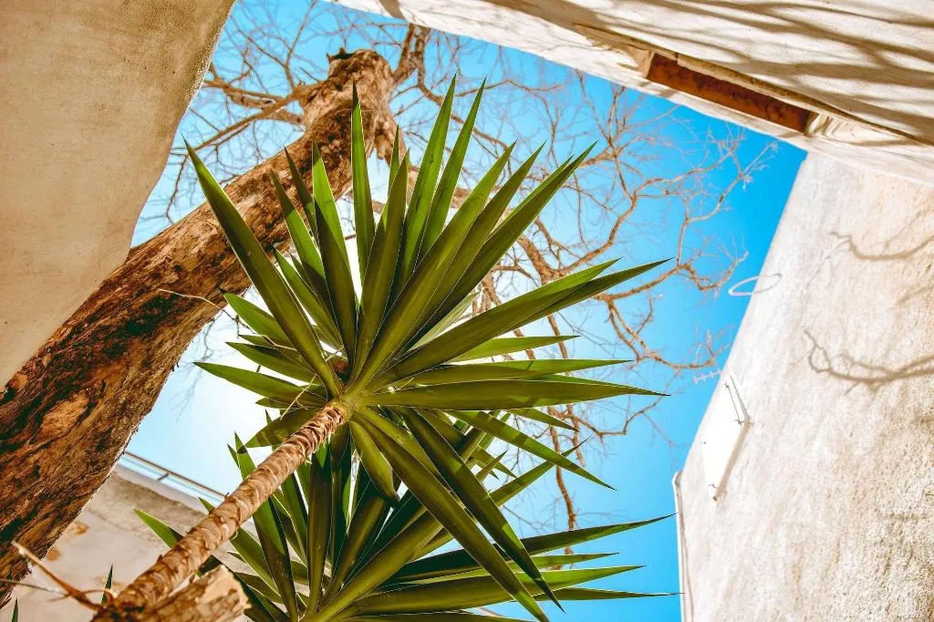 Room, Bozzali, Crete