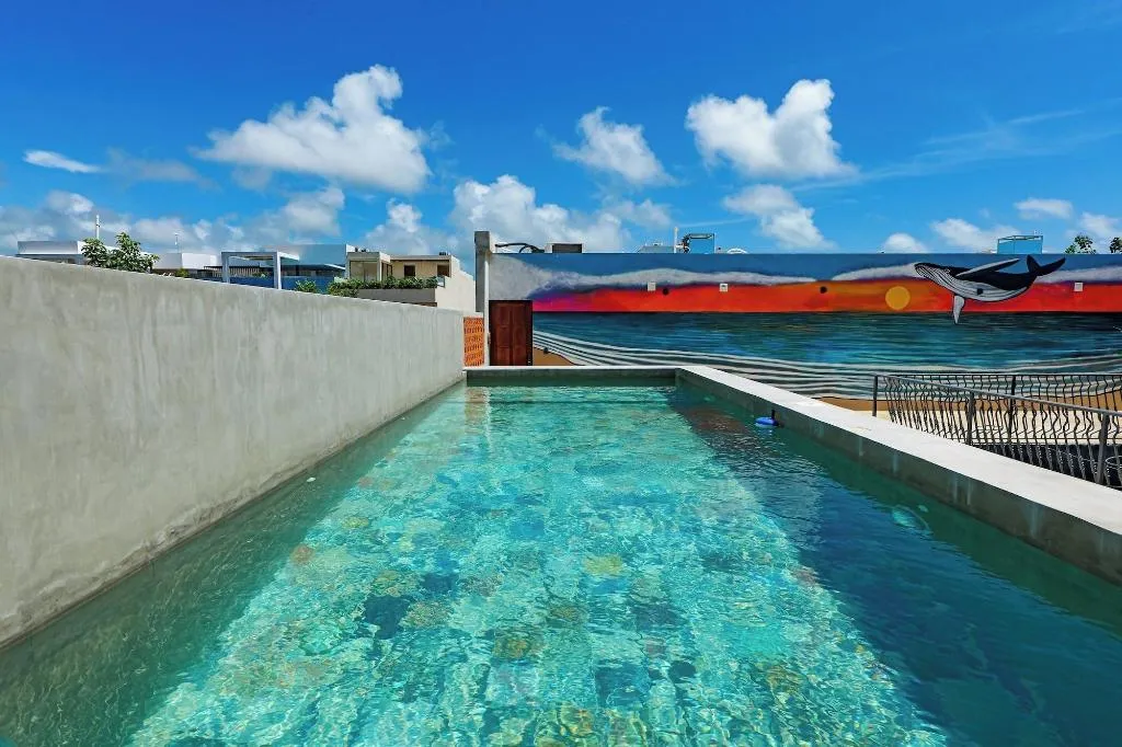 Sports and Entertainment, Calea Tulum, Cancun Area