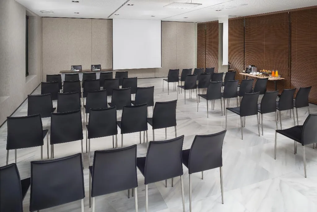 Conferences, Melia Madrid Serrano, Madrid