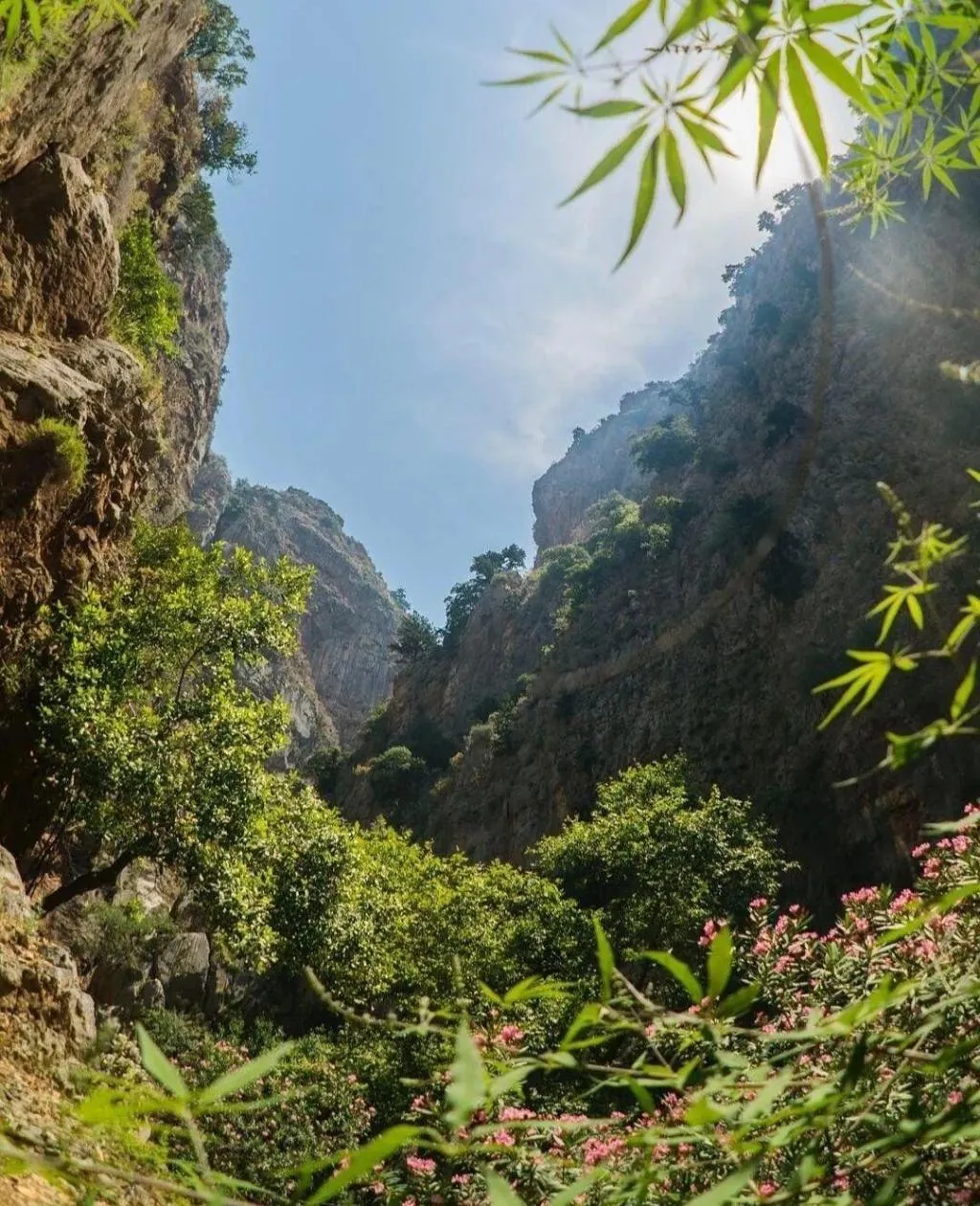 General view, Butterfly Valley Bungalov, Dalaman