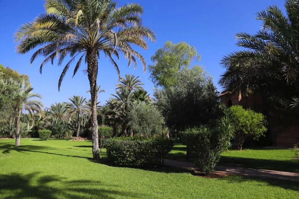 Terrace, Villa al Assala Palmeraie, Marrakech