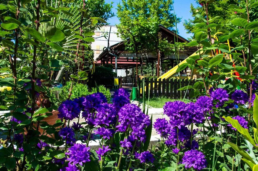 Terrace, Trakia Garden, Bourgas