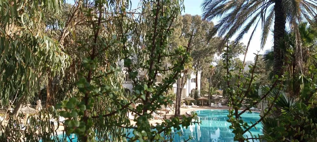 Terrace, Tunisia Lodge, Tunisia