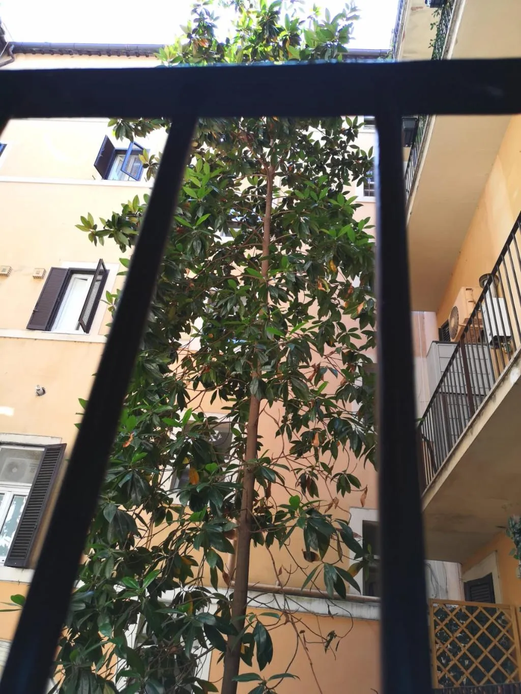 DOUBLE STANDARD Room, Dulcis In Pantheon, Rome
