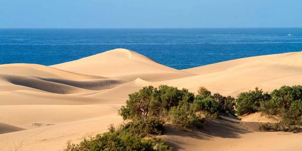General view, Dorotea, Gran Canaria
