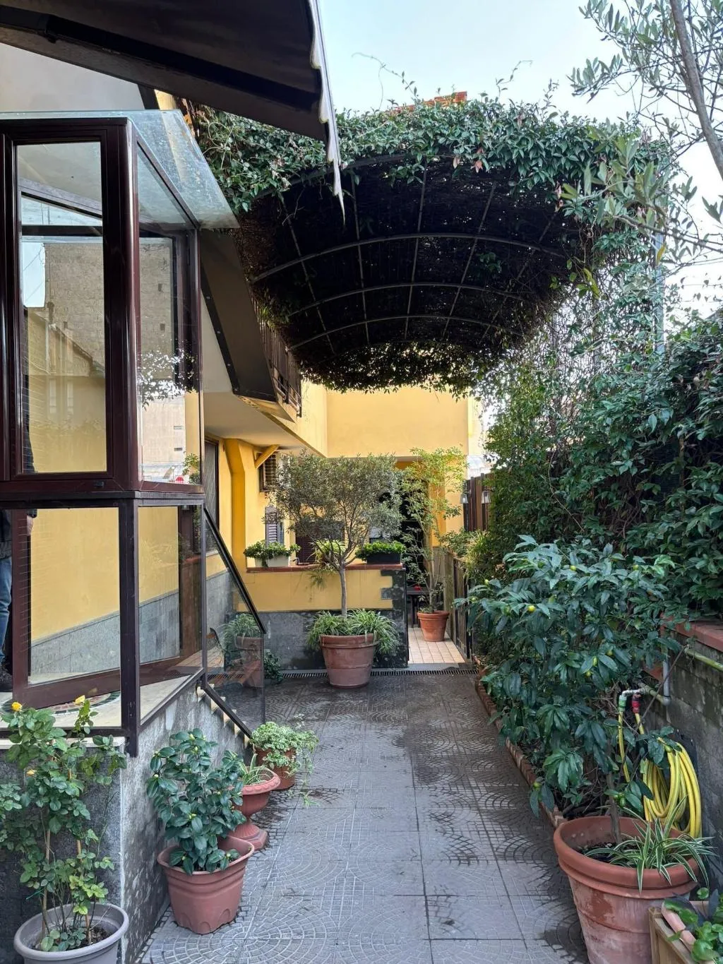 Room, Home To Fly, Naples