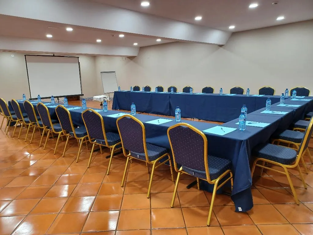Conferences, María Cristina Hotel, Madrid