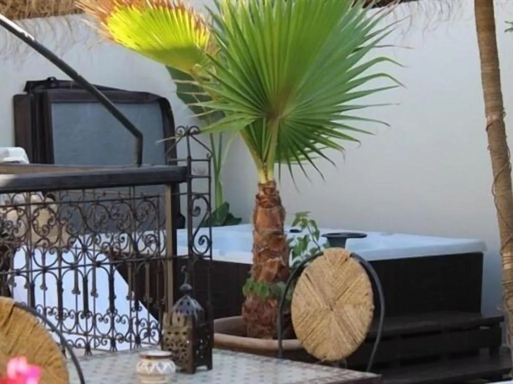 General view, Riad Reve D Or, Marrakech