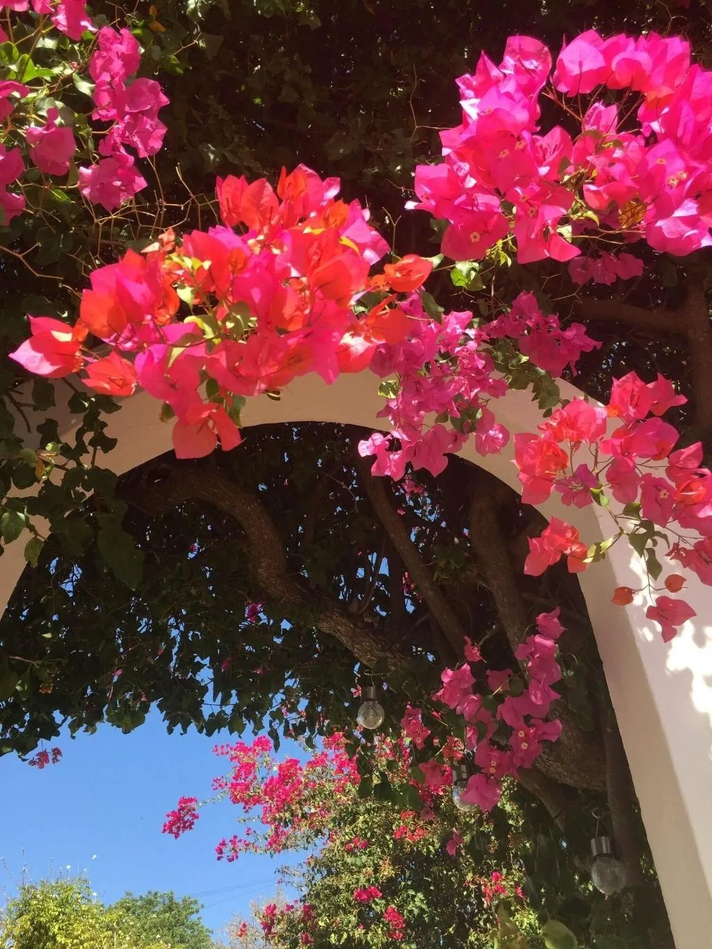 General view, Winniehill, Algarve
