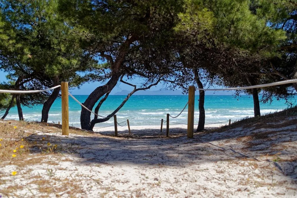 Beach, Alcudia Boutique Apartments, Majorca