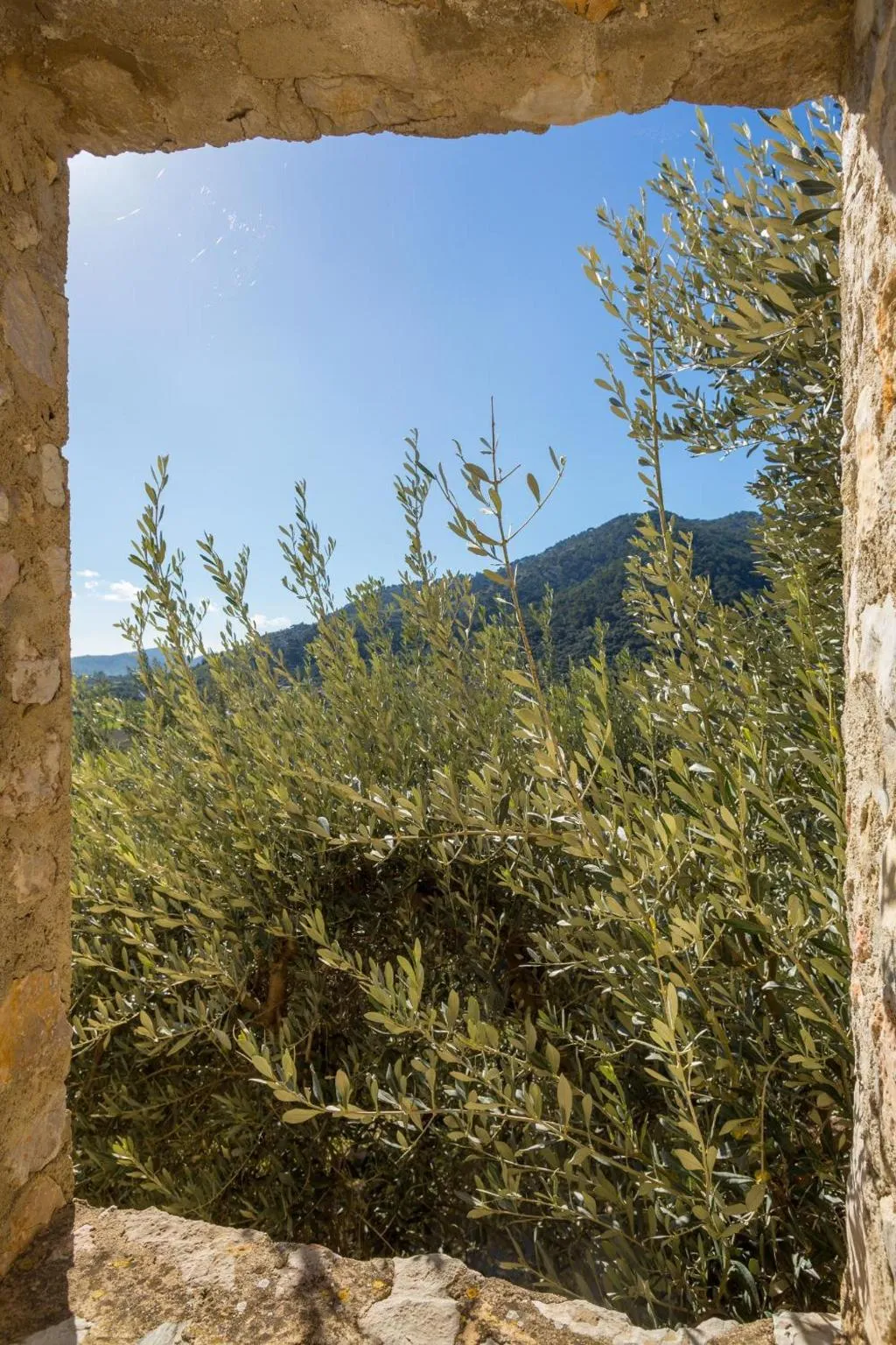 General view, Finca Hotel Es Castell, Majorca
