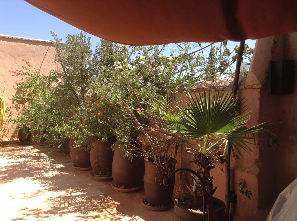Terrace, Dar Zemrane, Marrakech