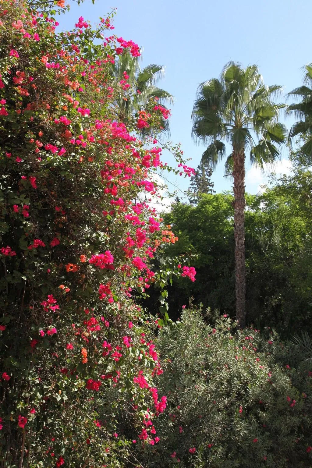 Sports and Entertainment, Dar Ayniwen Garden Hotel & Bird Zoo, Marrakech