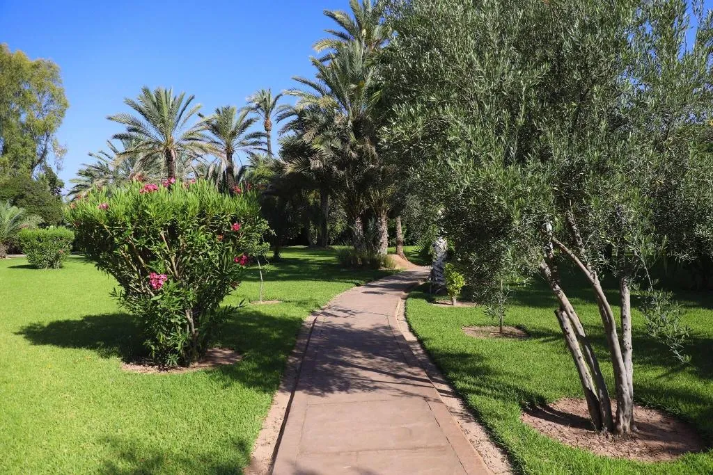 Terrace, Villa al Assala Palmeraie, Marrakech