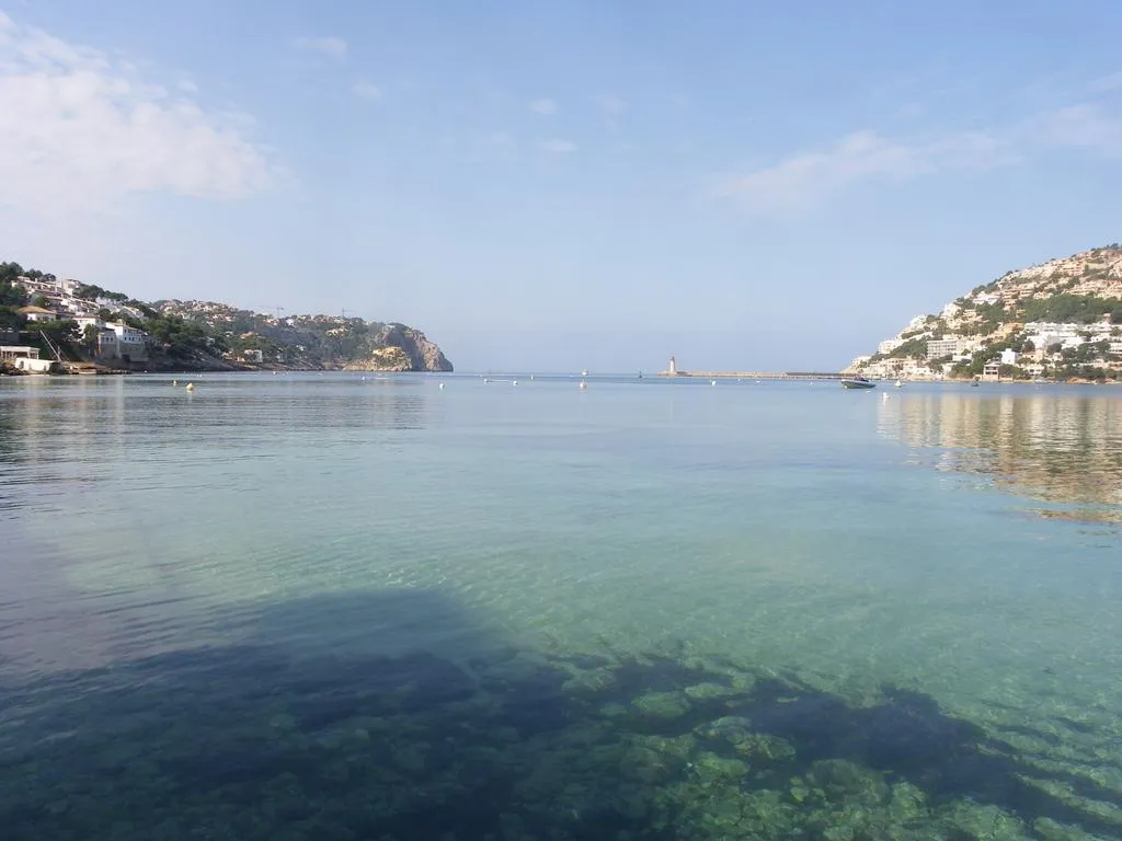 Beach, Brisamar Affiliated by Fergus, Majorca