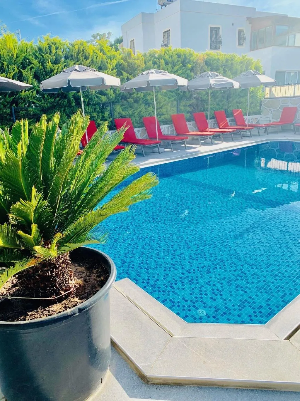 General view, Artunc Hotel Bodrum, Bodrum