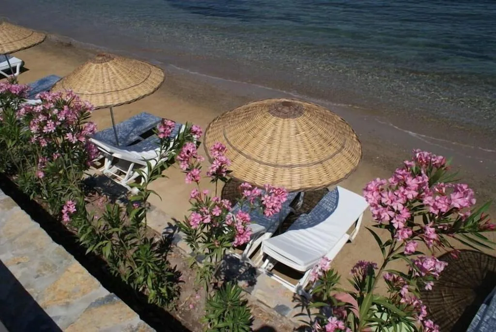 Beach, Med-Inn Boutique Hotel, Bodrum