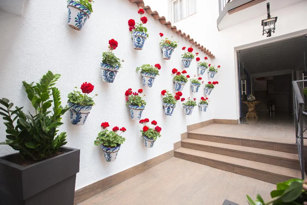 Terrace, Apartamentos Neptuno Calella, Costa Brava