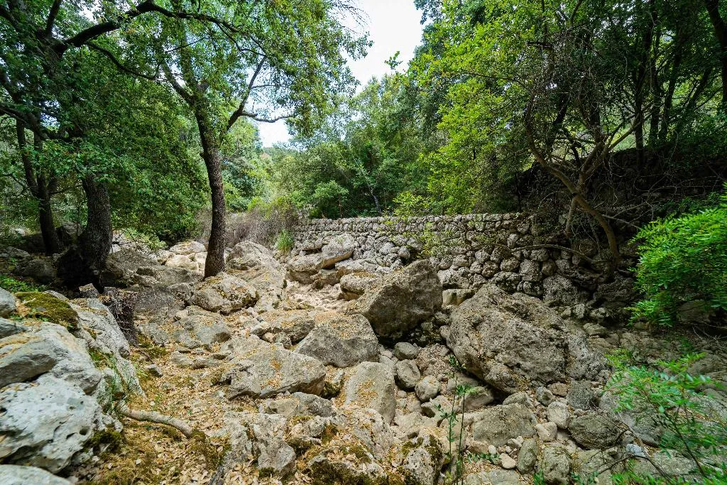 Sports and Entertainment, Hotel Rural S'Olivaret, Majorca