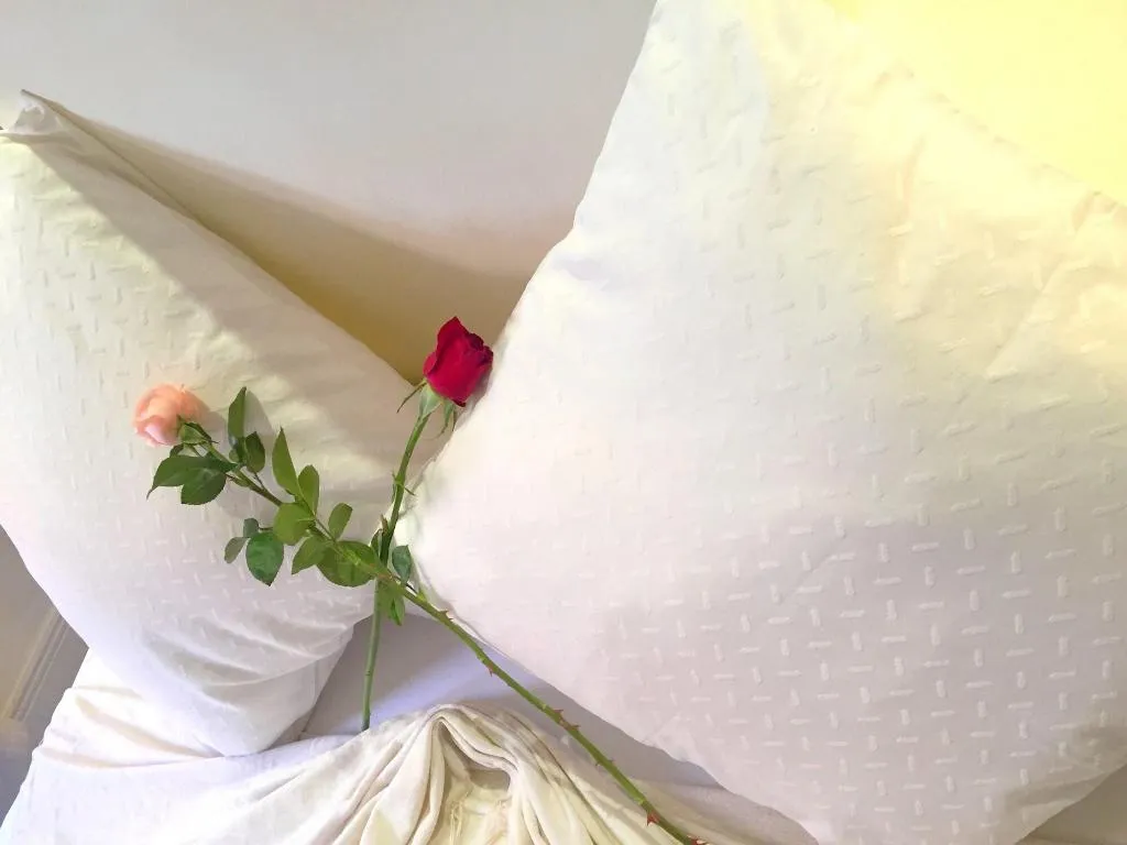 Room, Riad Al Jana, Marrakech
