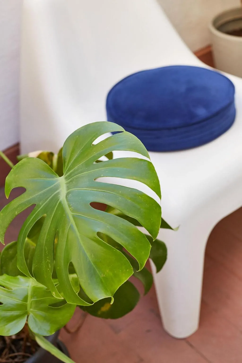 Room, Bubusuites, Valencia