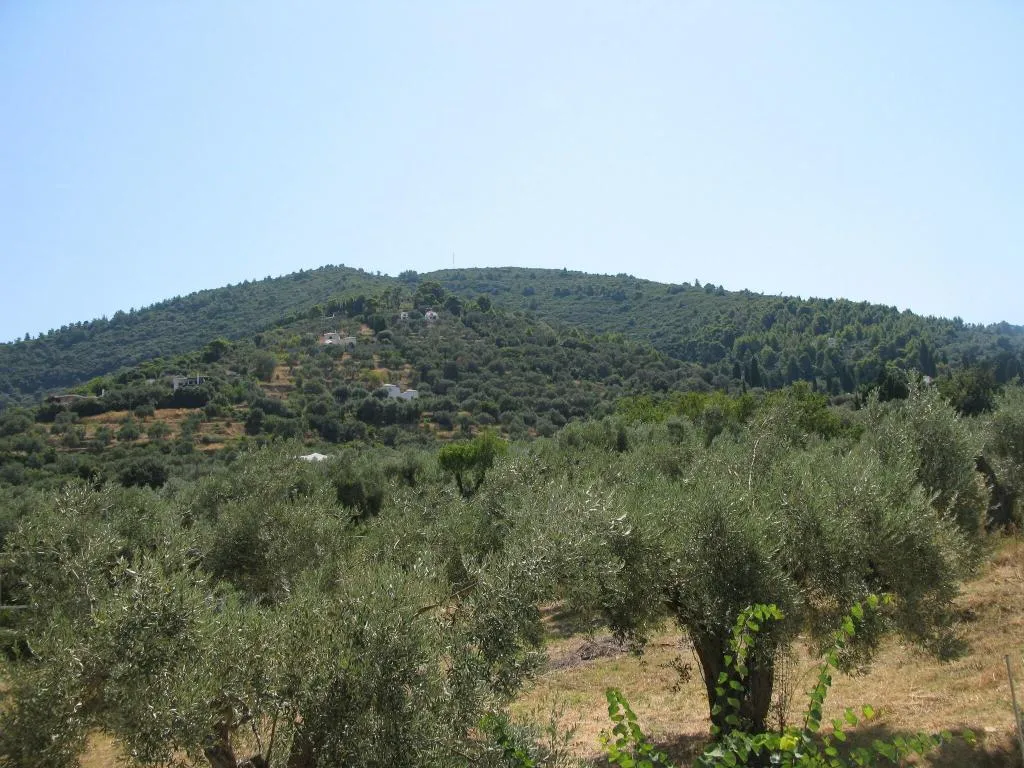 Room, Prince Stafylos, Skiathos