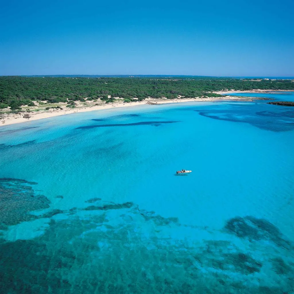 Beach, Aparthotel Isla de Cabrera, Majorca