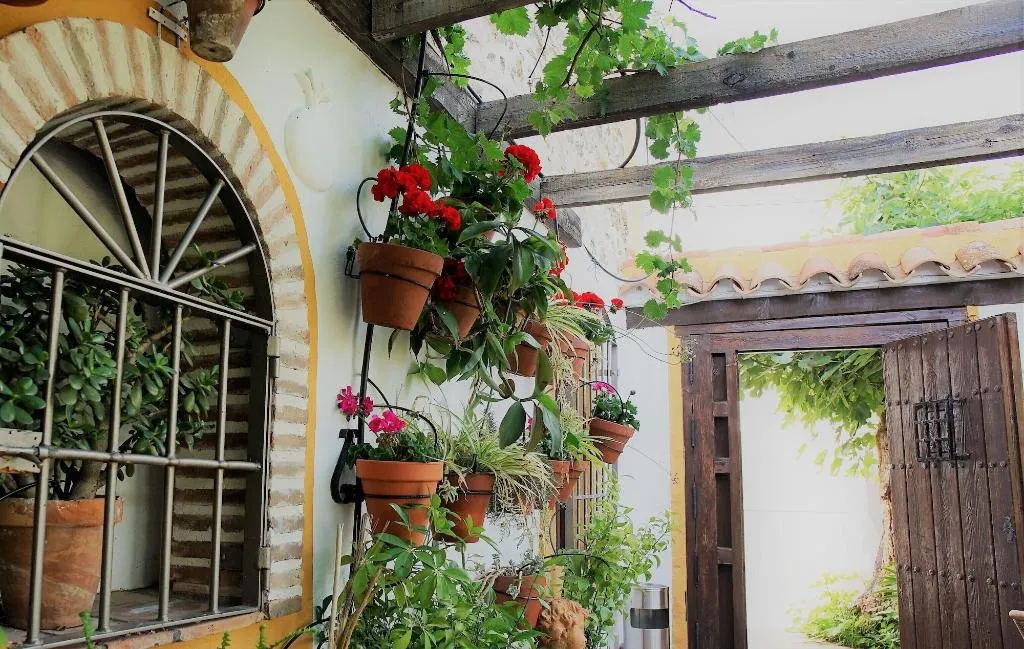 Terrace, Casona Granado, Andalucia