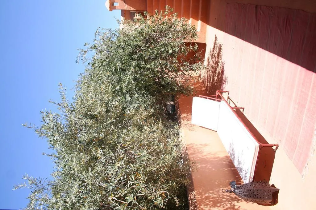 General view, Riad Zitouna, Marrakech