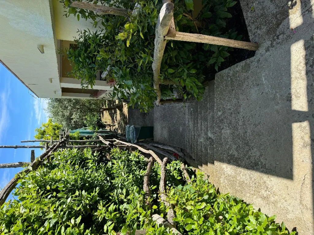 DOUBLE STANDARD Room, Agriturismo Piccolo Paradiso, Naples
