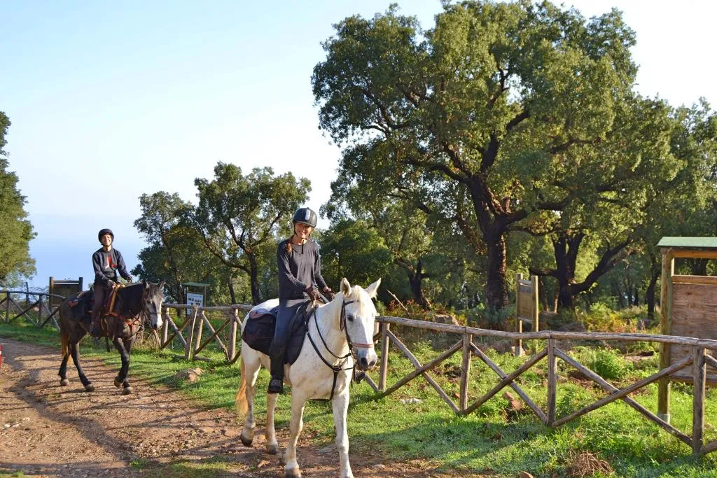 Sports and Entertainment, Agriturismo L'Uliveto, Palermo