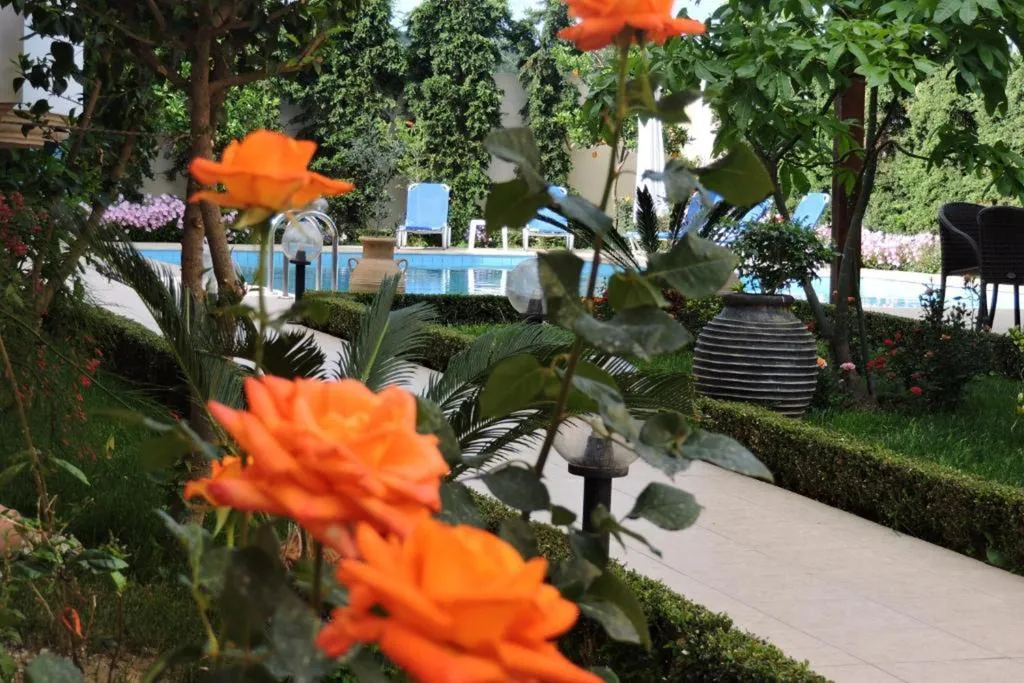 General view, Golden Rose, Crete