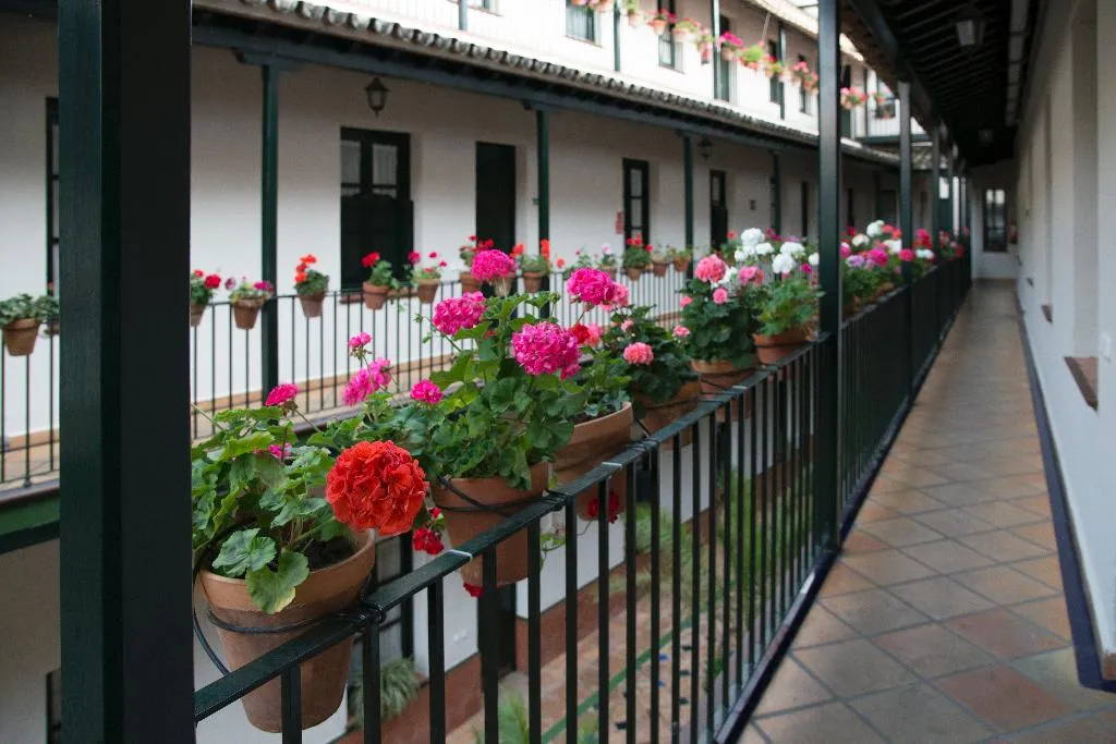 General view, Corral de los Chícharos, Seville