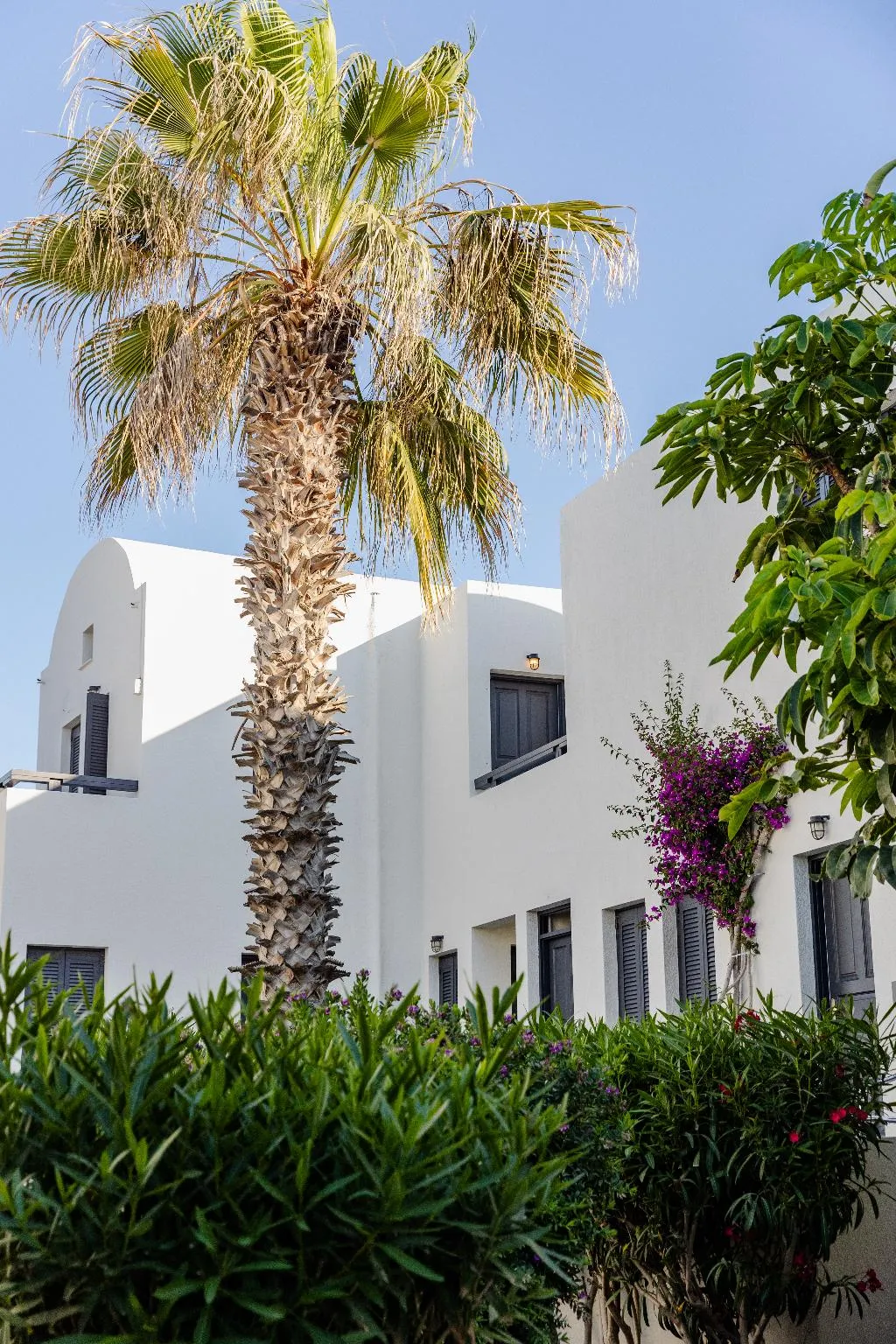 General view, Scorpios Beach Hotel, Santorini