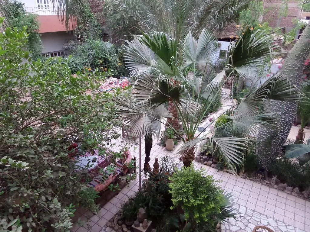 Sports and Entertainment, Amon Hotel, Luxor